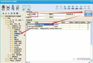 百旺税控开票系统商品和服务税收分类编码操作手册 计算机系统服务